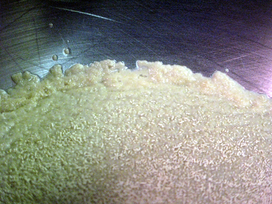 bread yeast bubbling
