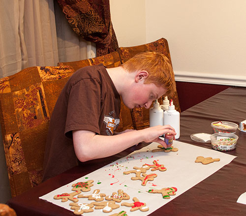 Gingerbread cookies