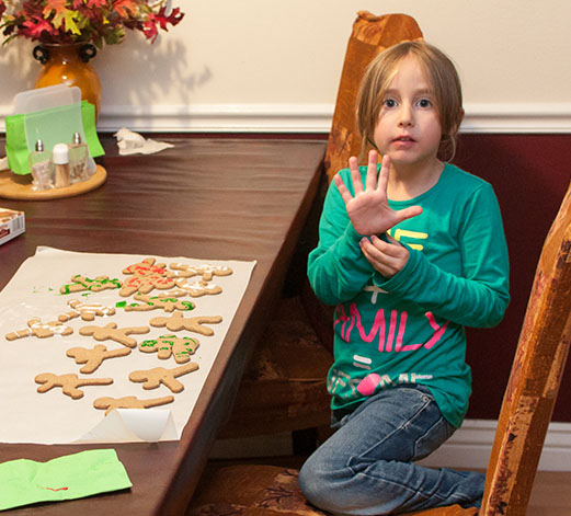 Gingerbread cookies