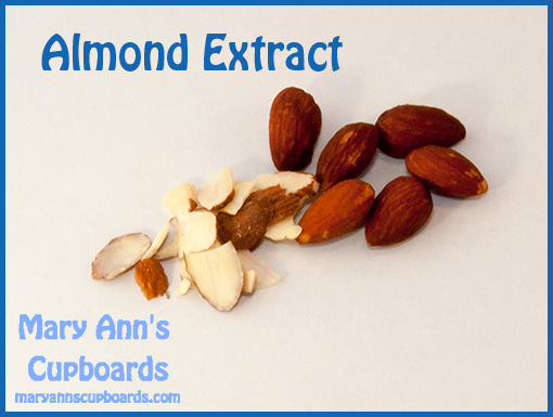 Almond by Michael Zimmerman