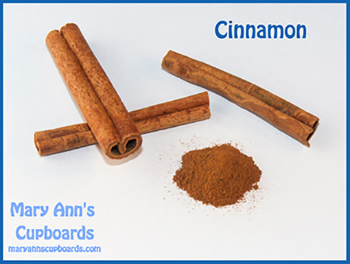 Cinnamon by Michael Zimmerman