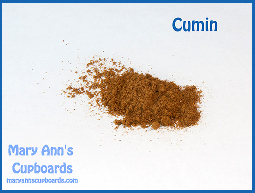 cumin powder  by Michael Zimmerman