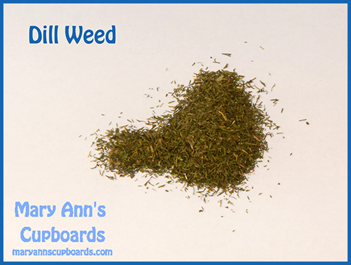 Dill Weed by Michael Zimmerman
