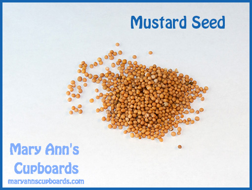 mustard seed by Michael Zimmerman