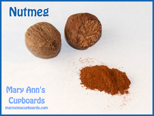 Nutmeg by Michael Zimmerman