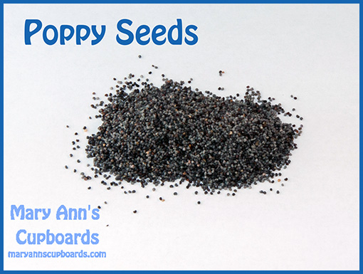 Poppy Seed by Michael Zimmerman