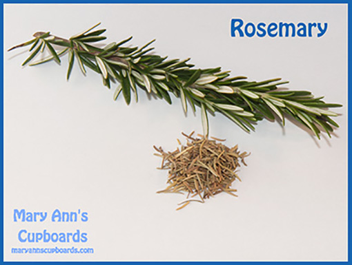 Rosemary by Michael Zimmerman