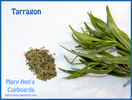 Tarragon by Michael Zimmerman