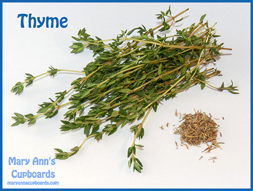 Thyme by Michael Zimmerman