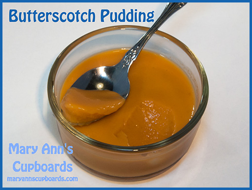 Butterscotch Pudding by Michael Zimmerman