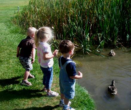 Feeding the Ducks